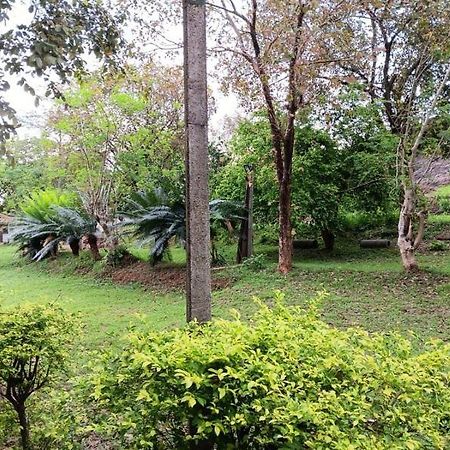 Aligama Cottage Talakolawela Екстериор снимка