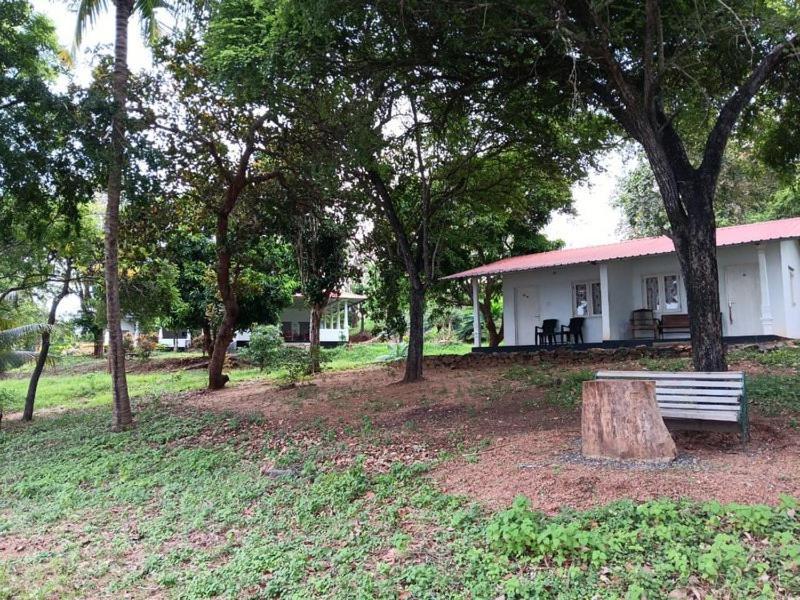 Aligama Cottage Talakolawela Екстериор снимка