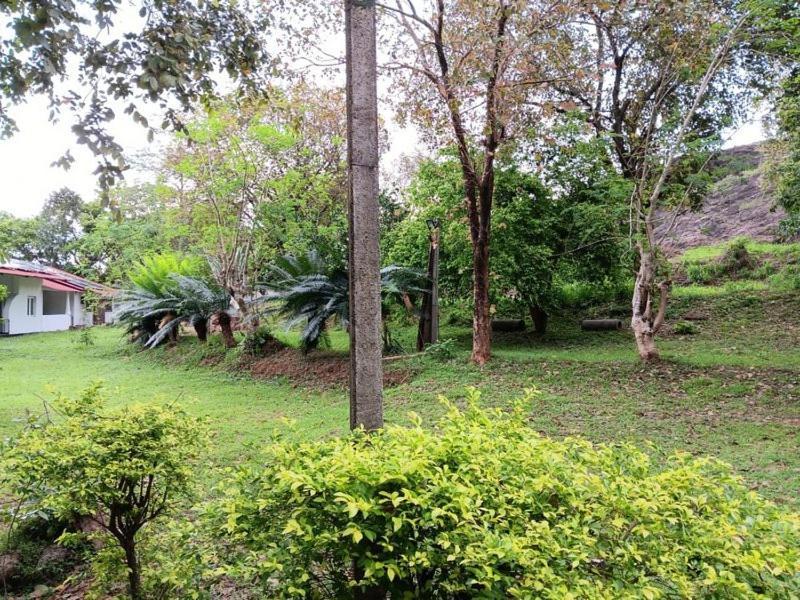 Aligama Cottage Talakolawela Екстериор снимка